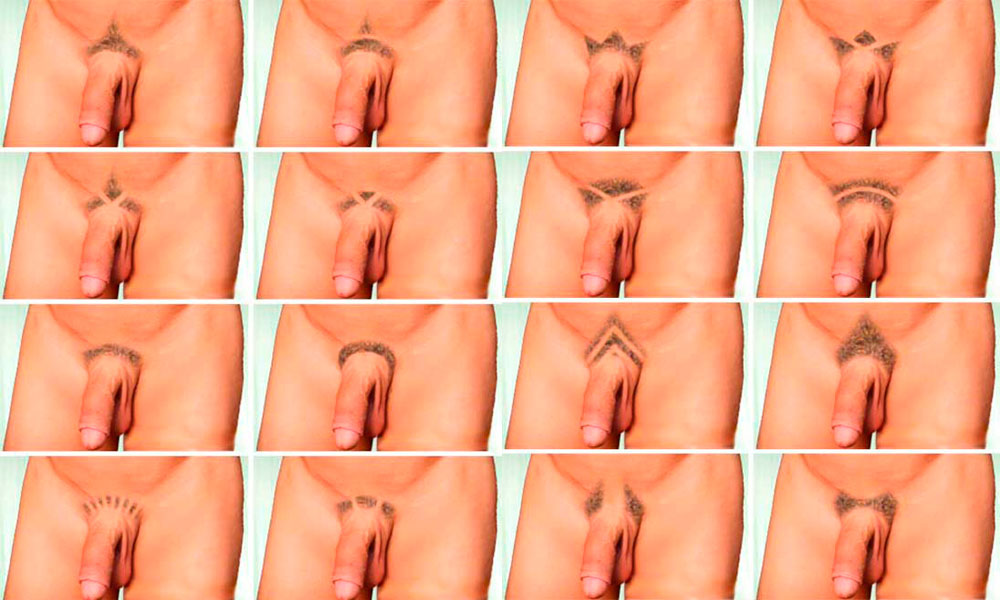 Вызывающая стрижка на вагине - секс фото 