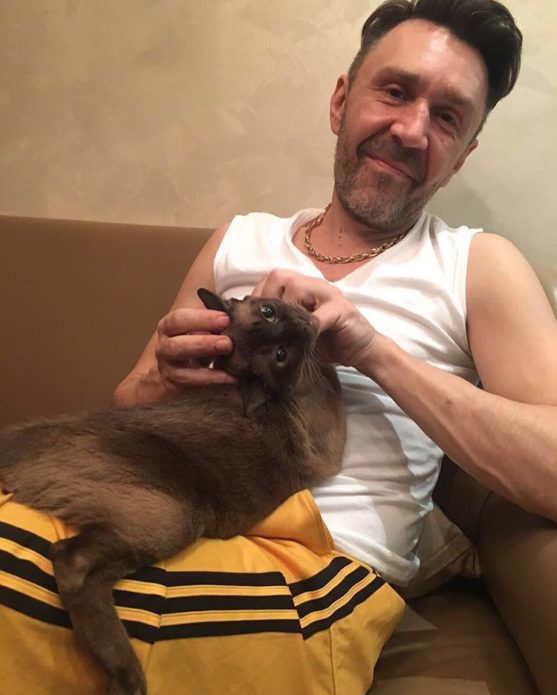 Кошка Сергея Шнурова