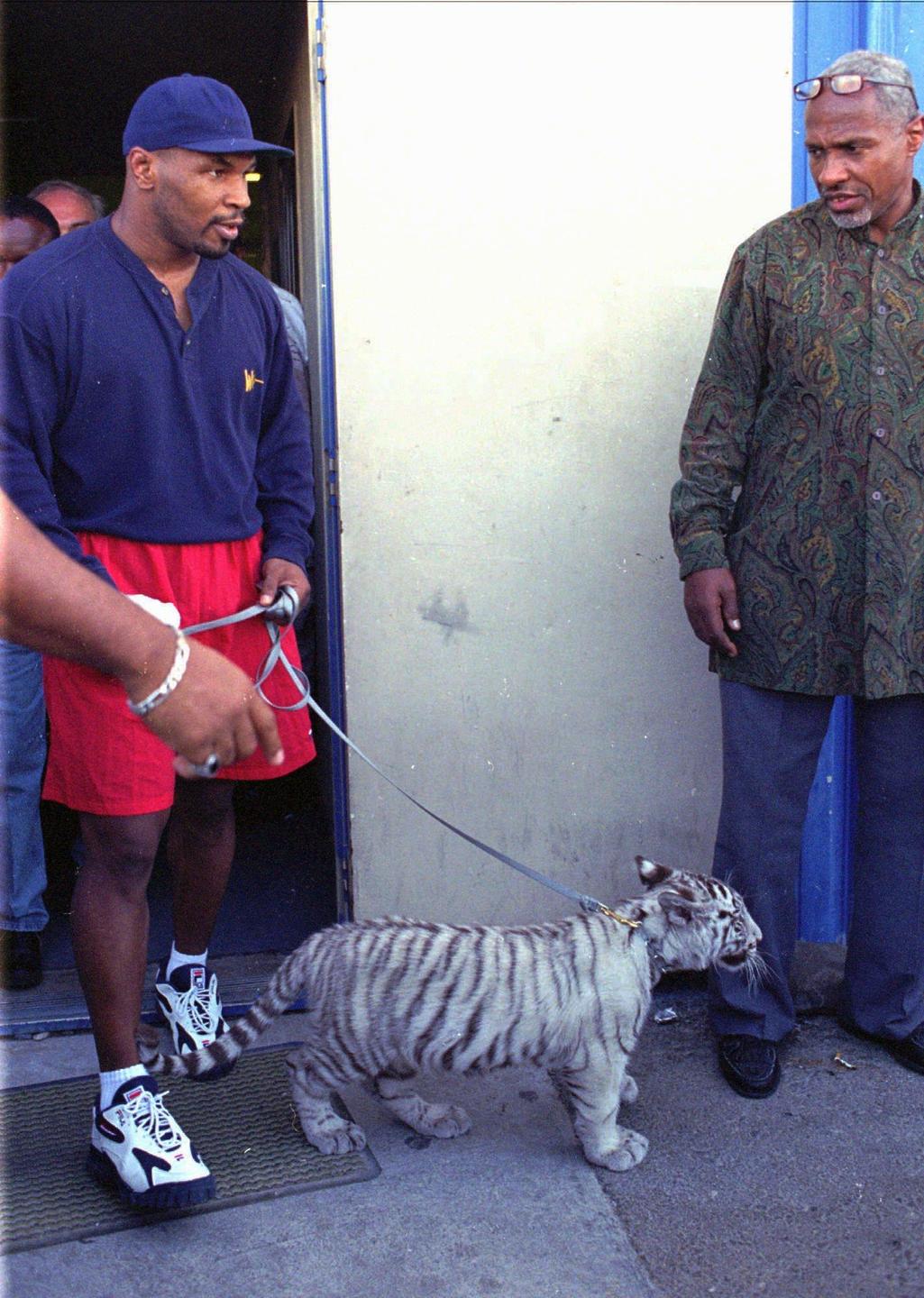 Когда по дому ходит тигр: необычные любимцы Майка Тайсона.