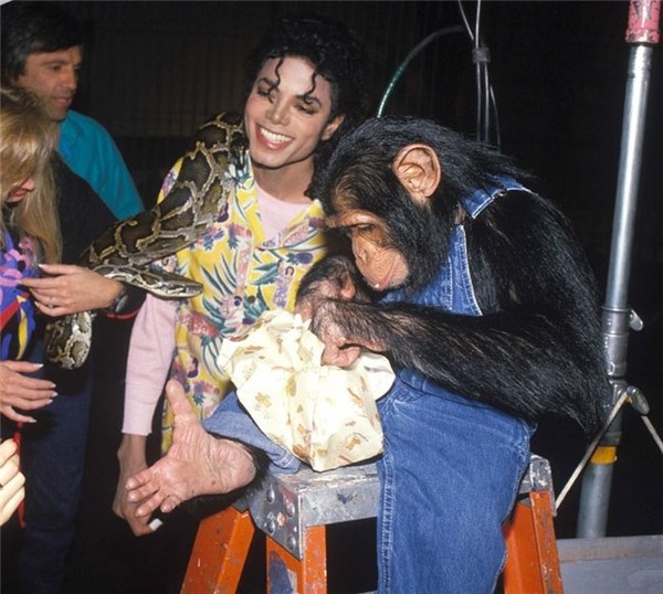 Майкл Джексон с шимпанзе