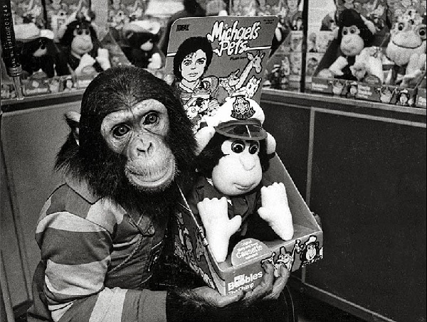 Бабблз с плюшевым шимпанзе