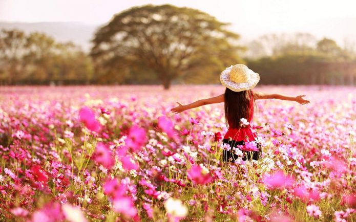 Девушка в поле с цветами