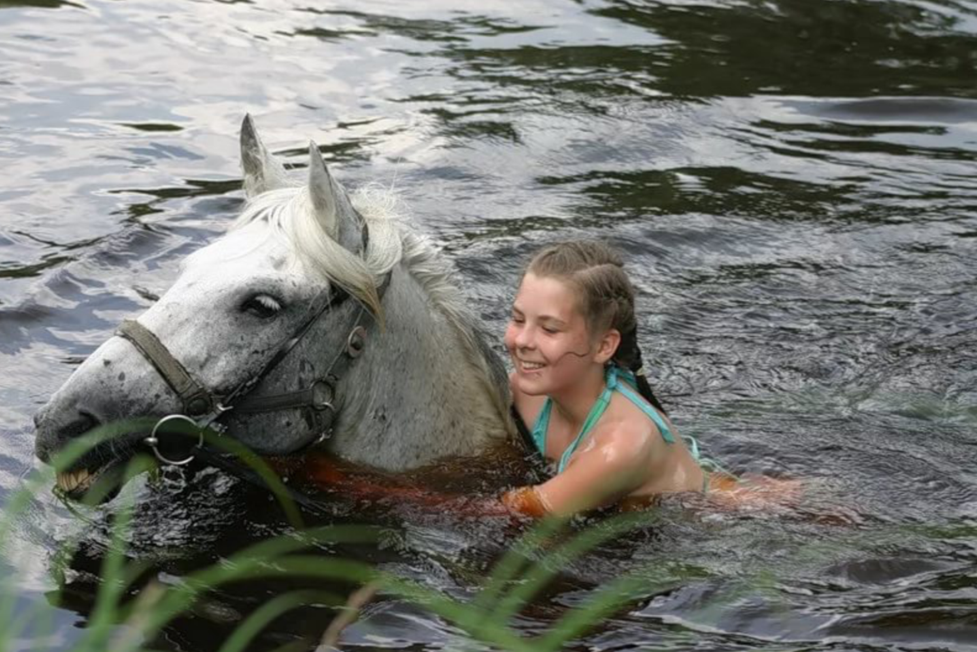 Купание на лошадях. Лошадь у реки. Купание лошадей в реке. Лошадь купается. Купание лошадей