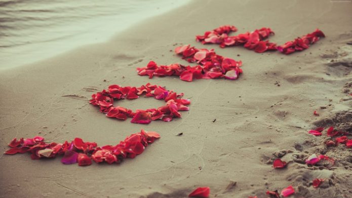 пляж, любовь из лепесток роз