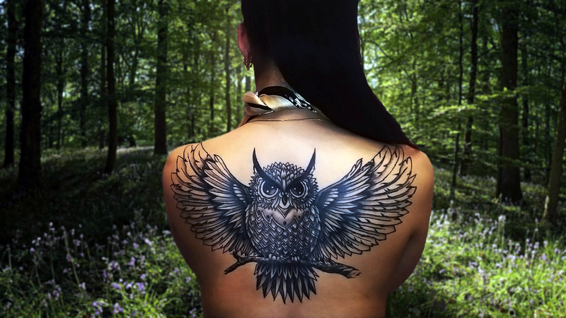 татуировка сова на спине