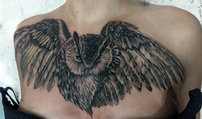татуировка сова на груди