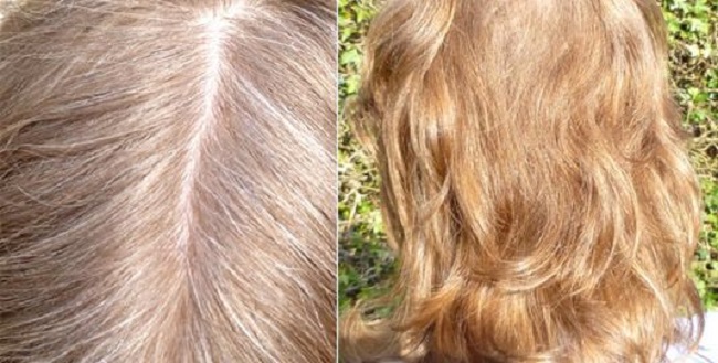 Волосы до и после окрашивания отваром ромашки