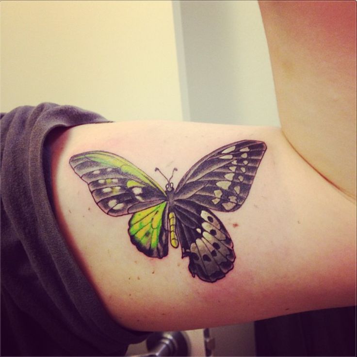 татуировка бабочка, тату на бицепсе для девушек.