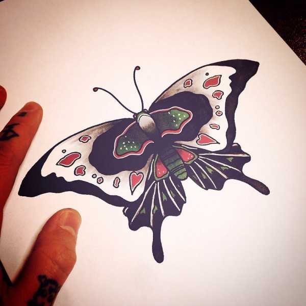 эскиз цветной большая бабочка