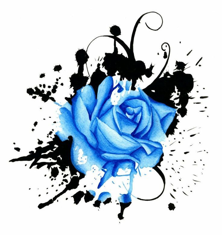 Синяя роза эскиз