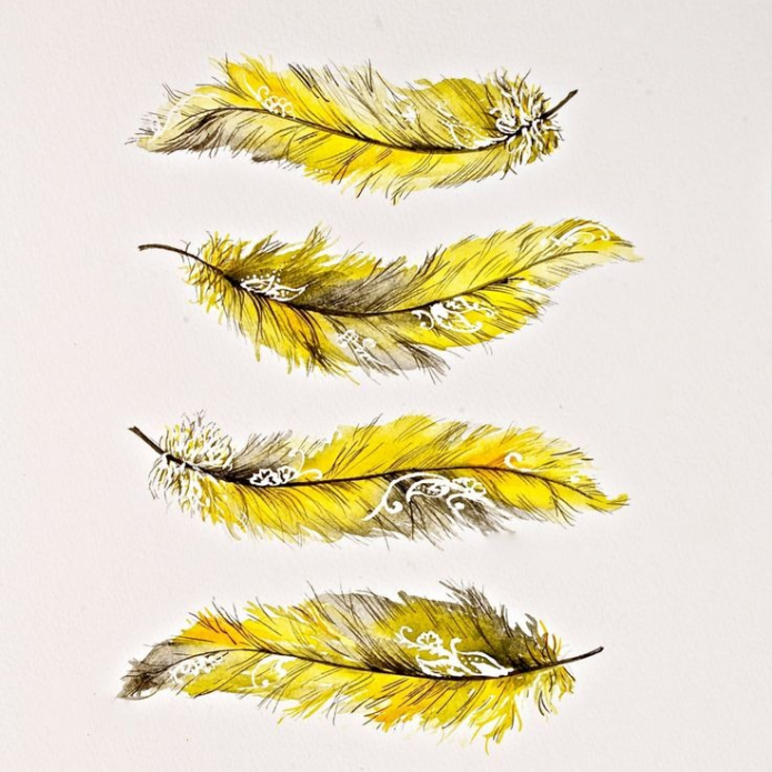 жёлтые перья эскизы