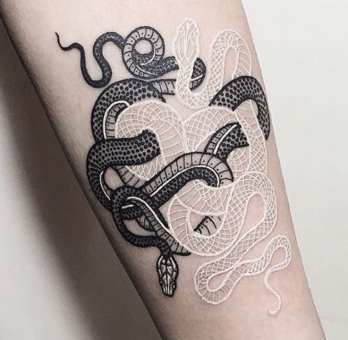 тату змеи чб, необычная татуировка со змеями